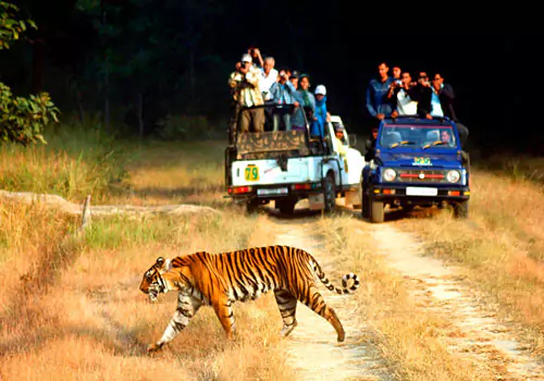 Jim Corbett Tour