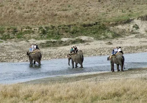 Uttaranchal Wildlife Tour