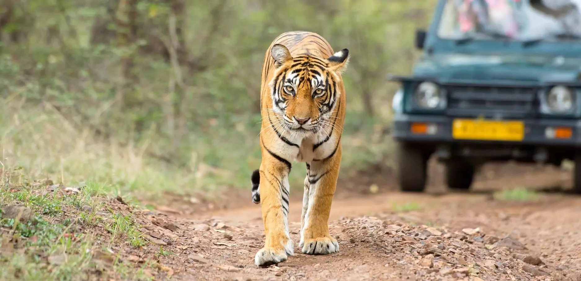 Jim Corbett Tour