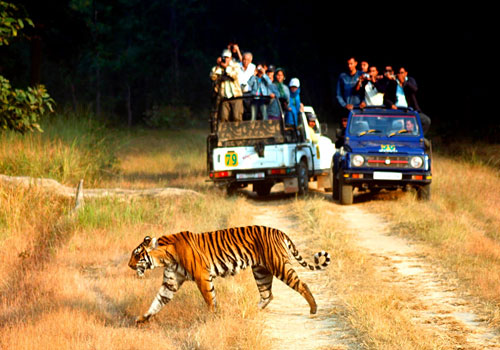 Jim Corbett Tour