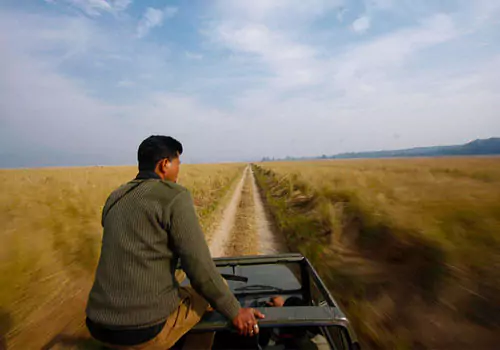 jim corbett national park grassland